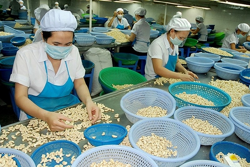 Vietnam and West Africa seek greater cashew export – processing cooperation